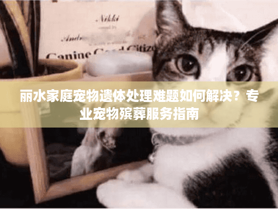 丽水家庭宠物遗体处理难题如何解决？专业宠物殡葬服务指南