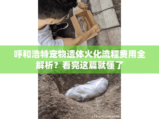 呼和浩特宠物遗体火化流程费用全解析?看完这篇就懂了 呼和浩特宠物遗体火化流程费用全解析?看完这篇就懂了