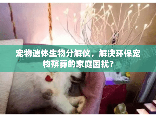 宠物遗体生物分解仪，解决环保宠物殡葬的家庭困扰？