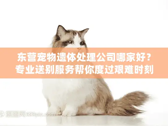 东营宠物遗体处理公司哪家好？专业送别服务帮你度过艰难时刻