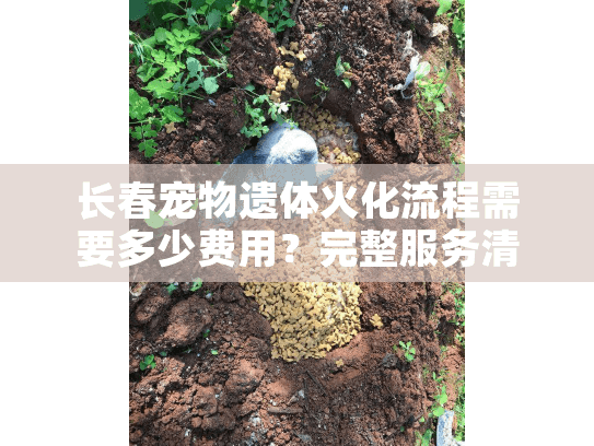 长春宠物遗体火化流程需要多少费用？完整服务清单和避坑指南