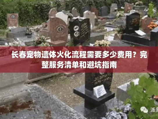 长春宠物遗体火化流程需要多少费用？完整服务清单和避坑指南