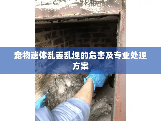 宠物遗体乱丢乱埋的危害及专业处理方案 宠物遗体乱丢乱埋的危害及专业处理方案