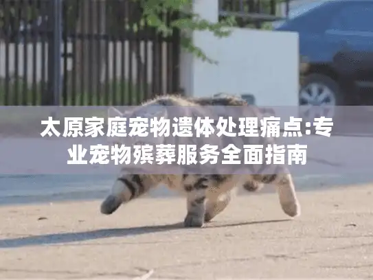 太原家庭宠物遗体处理痛点:专业宠物殡葬服务全面指南
