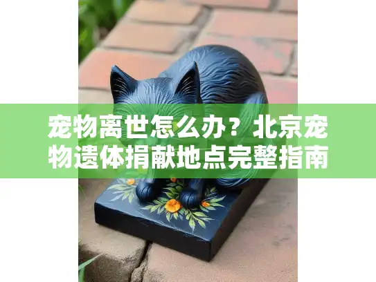 宠物离世怎么办？北京宠物遗体捐献地点完整指南