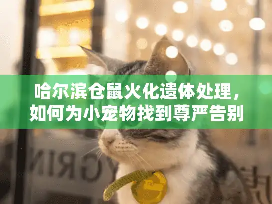 哈尔滨仓鼠火化遗体处理,如何为小宠物找到尊严告别服务? 哈尔滨仓鼠火化遗体处理,如何为小宠物找到尊严告别服务?