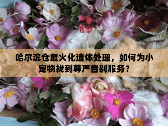 哈尔滨仓鼠火化遗体处理,如何为小宠物找到尊严告别服务? 哈尔滨仓鼠火化遗体处理,如何为小宠物找到尊严告别服务?