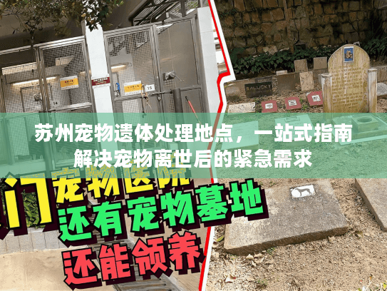 苏州宠物遗体处理地点，一站式指南解决宠物离世后的紧急需求