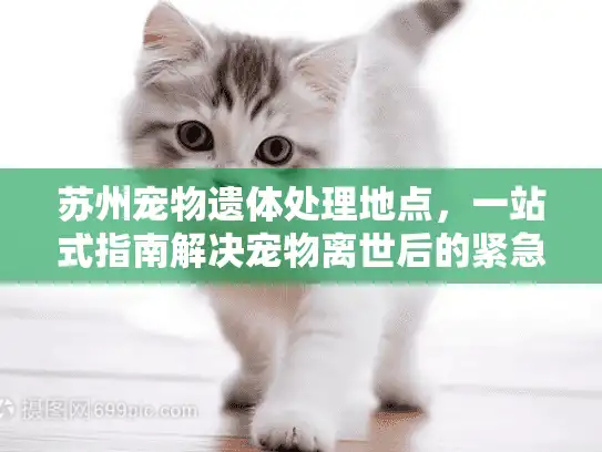 苏州宠物遗体处理地点，一站式指南解决宠物离世后的紧急需求