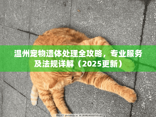 温州宠物遗体处理全攻略，专业服务及法规详解（2025更新）