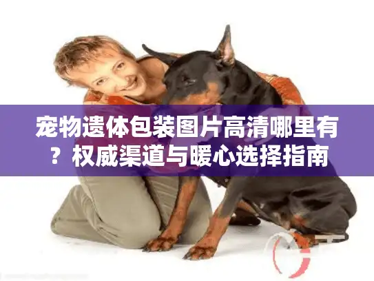 宠物遗体包装图片高清哪里有？权威渠道与暖心选择指南