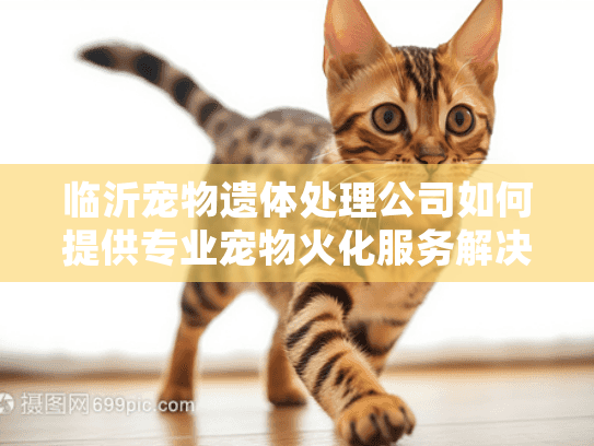 临沂宠物遗体处理公司如何提供专业宠物火化服务解决宠物主人的痛苦？