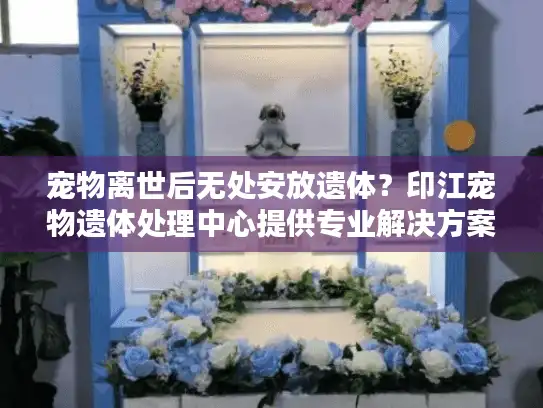 宠物离世后无处安放遗体？印江宠物遗体处理中心提供专业解决方案