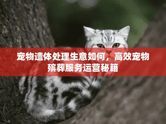 宠物遗体处理生意如何,高效宠物殡葬服务运营秘籍 宠物遗体处理生意如何,高效宠物殡葬服务运营秘籍
