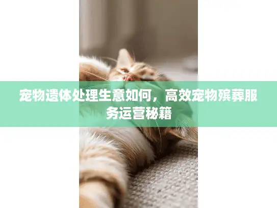 宠物遗体处理生意如何,高效宠物殡葬服务运营秘籍 宠物遗体处理生意如何,高效宠物殡葬服务运营秘籍