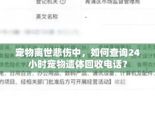 宠物离世悲伤中，如何查询24小时宠物遗体回收电话？