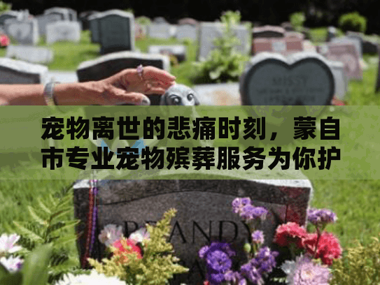 宠物离世的悲痛时刻,蒙自市专业宠物殡葬服务为你护航 宠物离世的悲痛时刻,蒙自市专业宠物殡葬服务为你护航