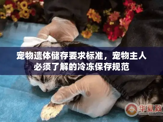 宠物遗体储存要求标准,宠物主人必须了解的冷冻保存规范 宠物遗体储存要求标准,宠物主人必须了解的冷冻保存规范