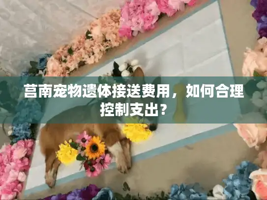 莒南宠物遗体接送费用,如何合理控制支出? 莒南宠物遗体接送费用,如何合理控制支出?