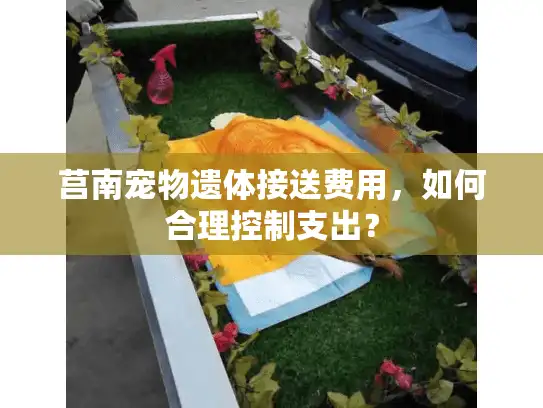 莒南宠物遗体接送费用,如何合理控制支出? 莒南宠物遗体接送费用,如何合理控制支出?