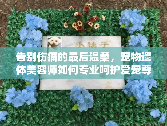 告别伤痛的最后温柔，宠物遗体美容师如何专业呵护爱宠尊严