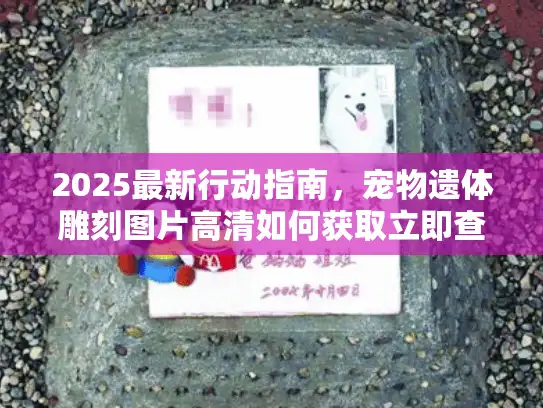 2025最新行动指南，宠物遗体雕刻图片高清如何获取立即查看