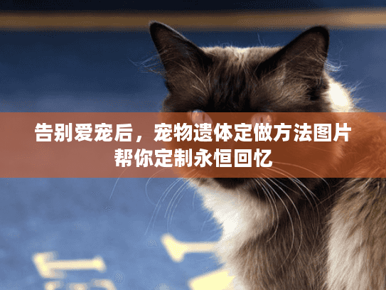 告别爱宠后，宠物遗体定做方法图片帮你定制永恒回忆