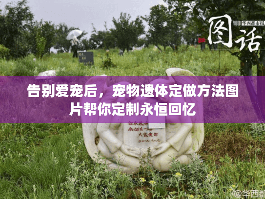 告别爱宠后，宠物遗体定做方法图片帮你定制永恒回忆