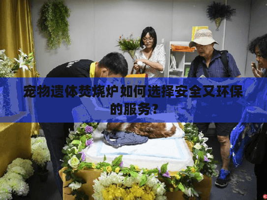 宠物遗体焚烧炉如何选择安全又环保的服务？