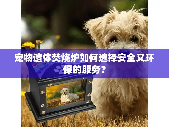 宠物遗体焚烧炉如何选择安全又环保的服务？
