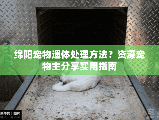 绵阳宠物遗体处理方法？资深宠物主分享实用指南