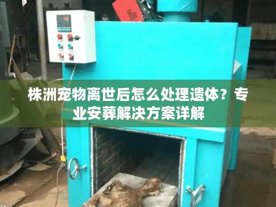 株洲宠物离世后怎么处理遗体？专业安葬解决方案详解