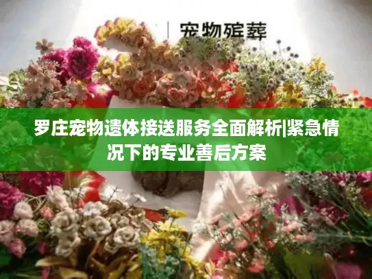 罗庄宠物遗体接送服务全面解析|紧急情况下的专业善后方案 罗庄宠物遗体接送服务全面解析|紧急情况下的专业善后方案