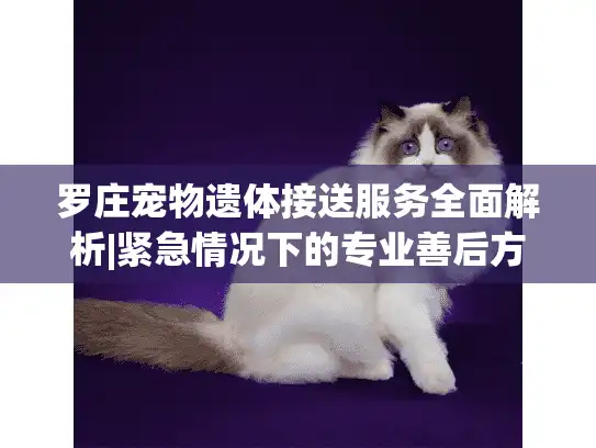 罗庄宠物遗体接送服务全面解析|紧急情况下的专业善后方案 罗庄宠物遗体接送服务全面解析|紧急情况下的专业善后方案