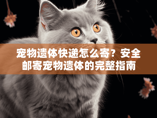 宠物遗体快递怎么寄？安全邮寄宠物遗体的完整指南