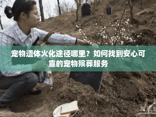宠物遗体火化途径哪里?如何找到安心可靠的宠物殡葬服务 宠物遗体火化途径哪里?如何找到安心可靠的宠物殡葬服务