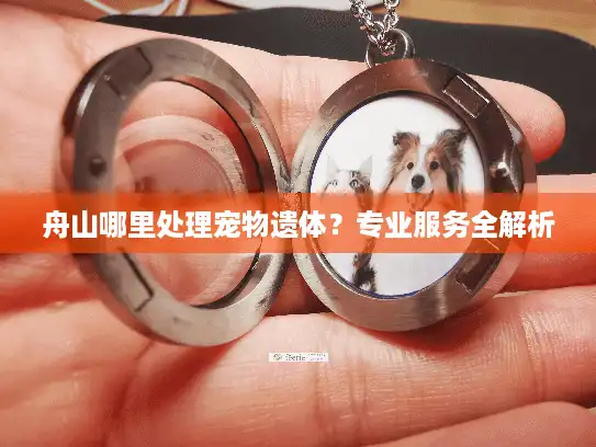 舟山哪里处理宠物遗体？专业服务全解析