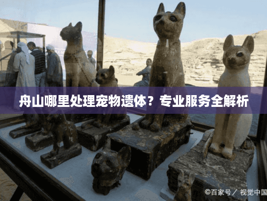 舟山哪里处理宠物遗体？专业服务全解析