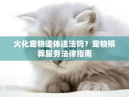 火化宠物遗体违法吗？宠物殡葬服务法律指南
