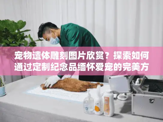 宠物遗体雕刻图片欣赏？探索如何通过定制纪念品缅怀爱宠的完美方案