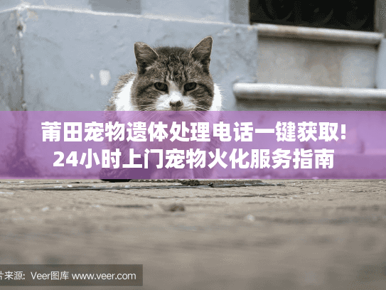 莆田宠物遗体处理电话一键获取!24小时上门宠物火化服务指南