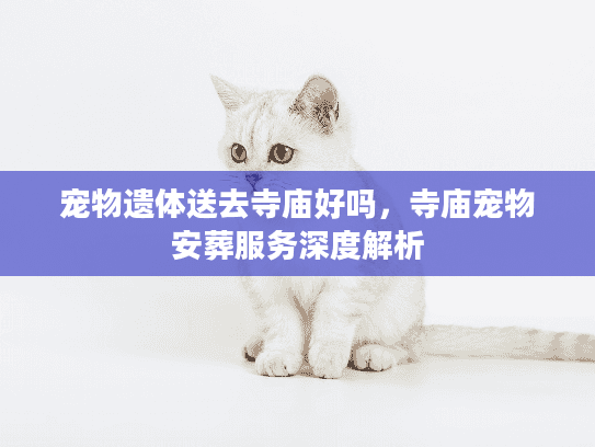 宠物遗体送去寺庙好吗，寺庙宠物安葬服务深度解析