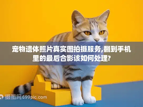 宠物遗体照片真实图拍摄服务,翻到手机里的最后合影该如何处理?