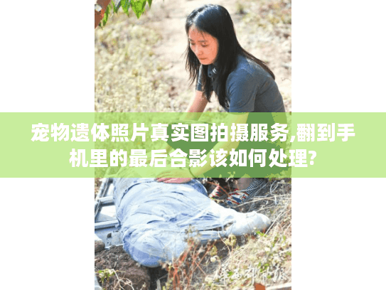 宠物遗体照片真实图拍摄服务,翻到手机里的最后合影该如何处理?