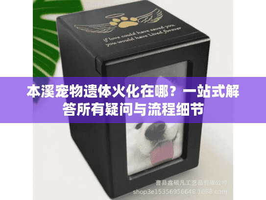 本溪宠物遗体火化在哪?一站式解答所有疑问与流程细节 本溪宠物遗体火化在哪?一站式解答所有疑问与流程细节