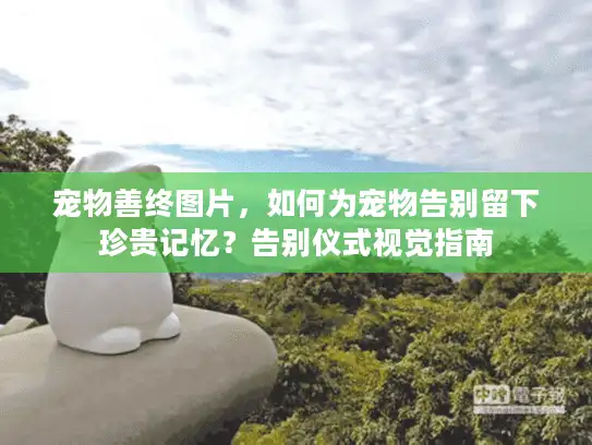 宠物善终图片，如何为宠物告别留下珍贵记忆？告别仪式视觉指南