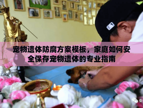 宠物遗体防腐方案模板，家庭如何安全保存宠物遗体的专业指南