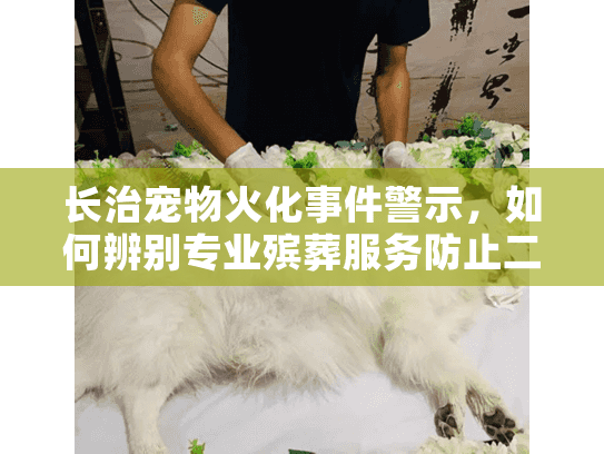 长治宠物火化事件警示,如何辨别专业殡葬服务防止二次伤害? 长治宠物火化事件警示,如何辨别专业殡葬服务防止二次伤害?