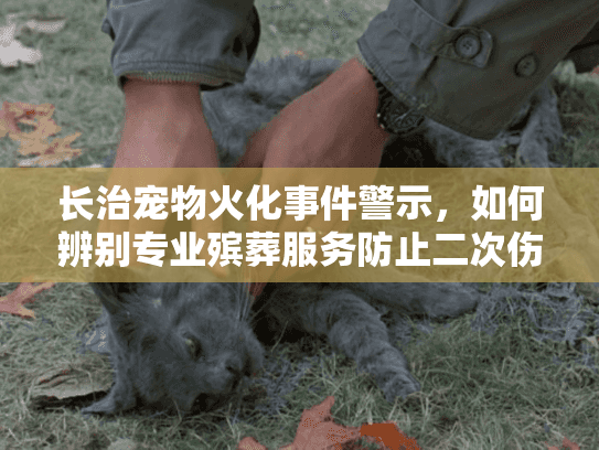 长治宠物火化事件警示,如何辨别专业殡葬服务防止二次伤害? 长治宠物火化事件警示,如何辨别专业殡葬服务防止二次伤害?