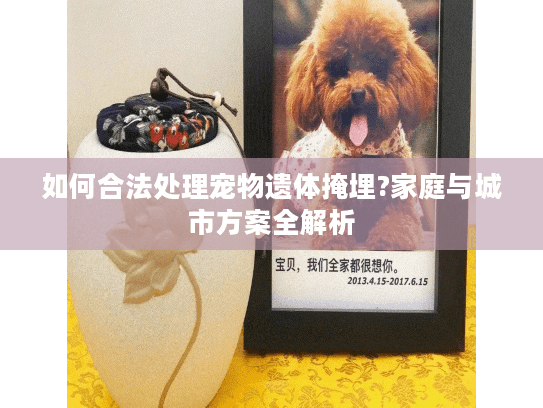如何合法处理宠物遗体掩埋?家庭与城市方案全解析